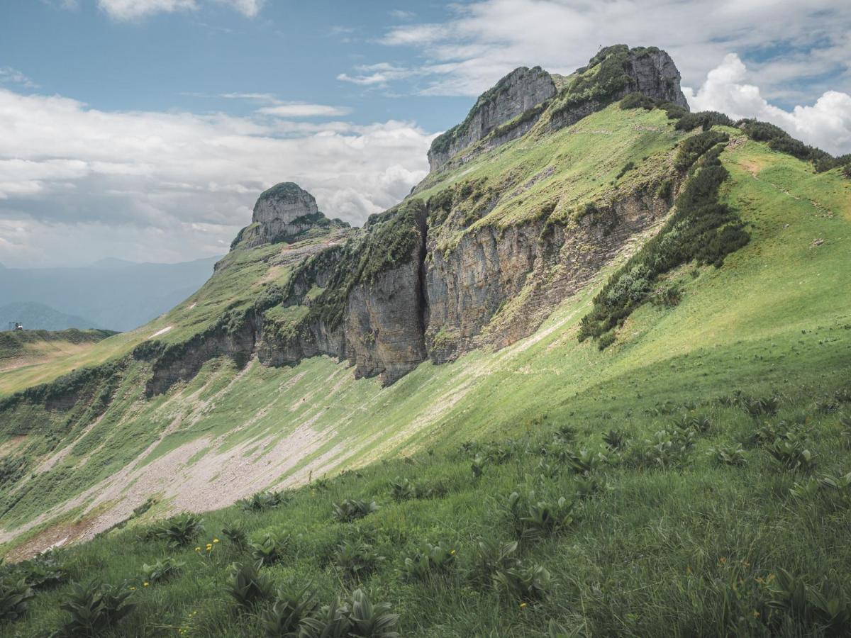Апартаменты Alpenglueck Тауплиц Экстерьер фото